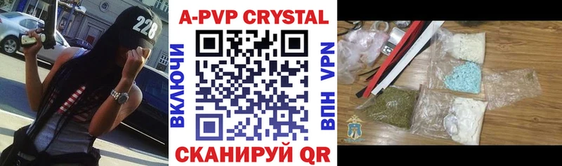A PVP СК  Дмитров 
