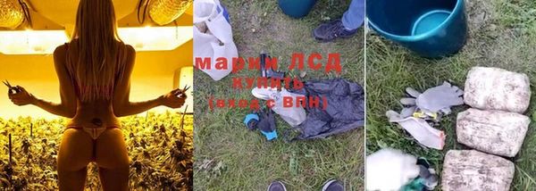 амф Алзамай