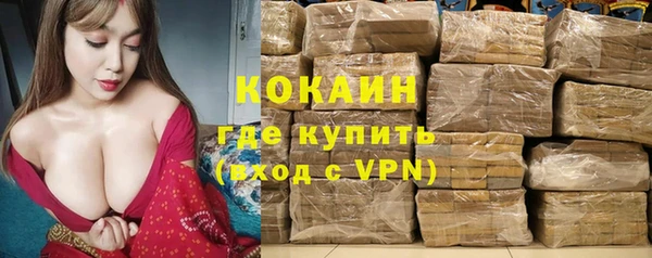 амф Алзамай