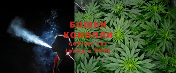 ПСИЛОЦИБИНОВЫЕ ГРИБЫ Алексеевка